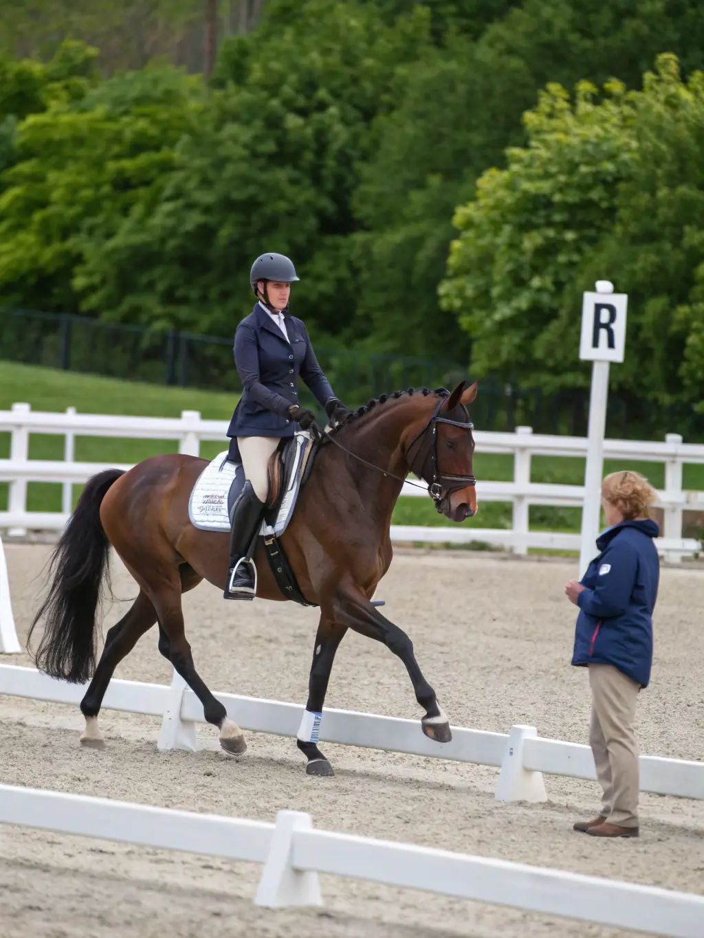 A dynamic image of a specialized horsemanship workshop, focusing on specific western riding disciplines like reining or cutting.